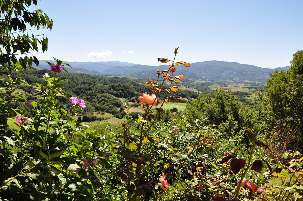 Bed And Breakfast Mugello Vicchio Esterno foto