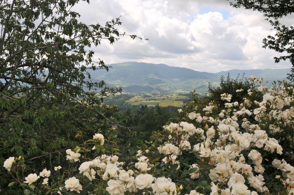 Bed And Breakfast Mugello Vicchio Esterno foto