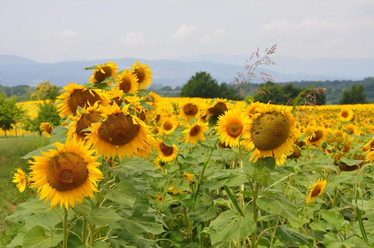 Bed And Breakfast Mugello Vicchio Esterno foto